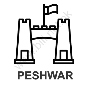 Water & Sanitation Service Peshawar ( WSSP ) Duplicate Bill