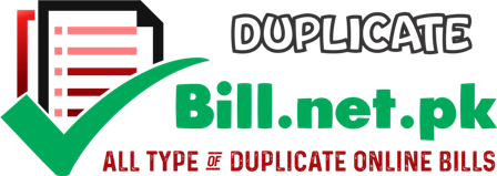 Duplicate Online Bills bill.net.pk
