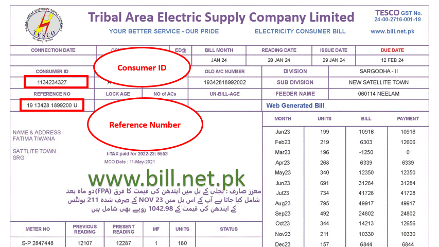Tribal Area Electric Supply Company Limited - TESCO Online Electric Duplicate Bill